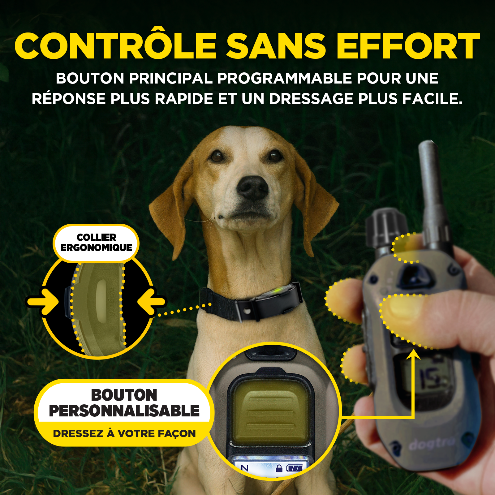 ARC-X Kit 2-Dog Unit with two HANDSFREE SQUARES