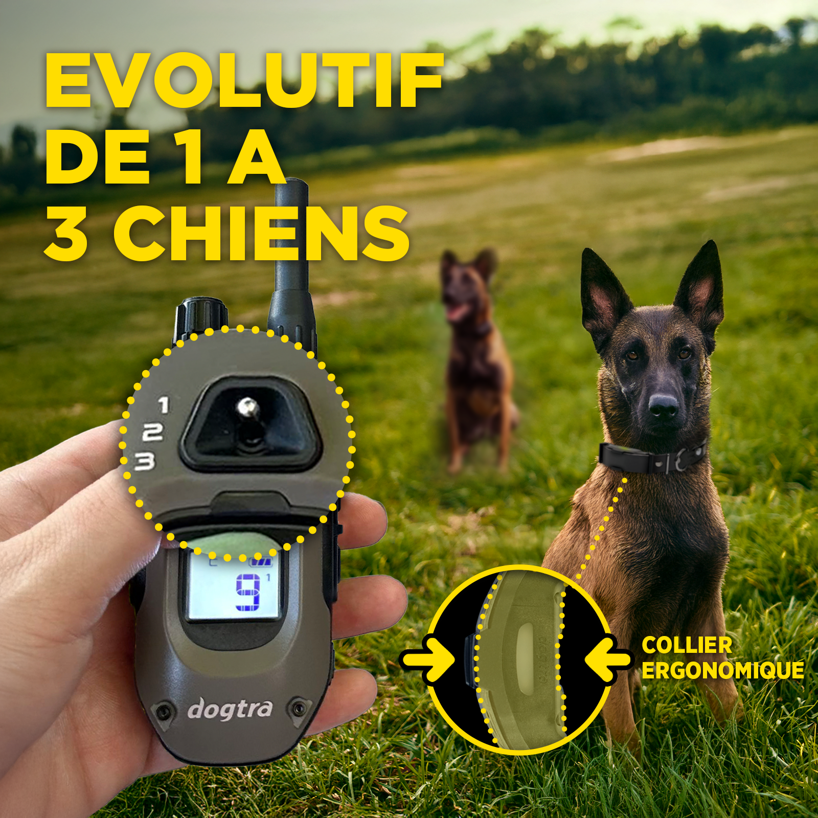 ARC-X Kit 2-Dog Unit with two HANDSFREE SQUARES