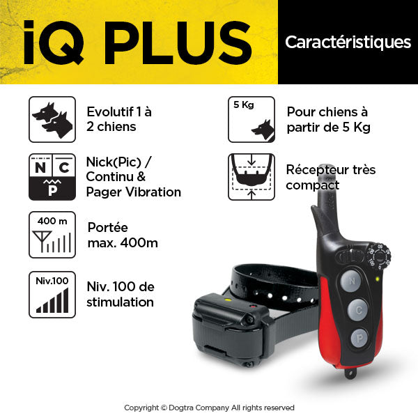 Iq plus dog training collar sale