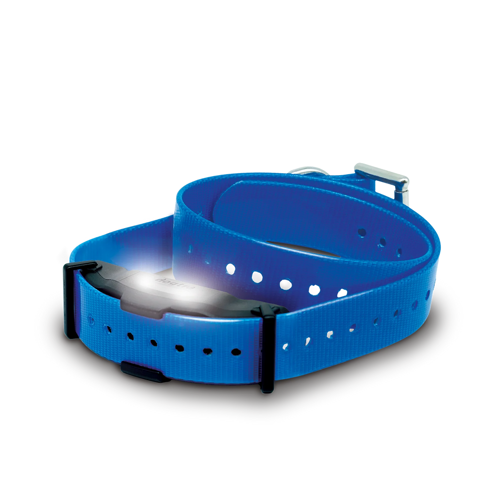 Collier supplémentaire ARC-X