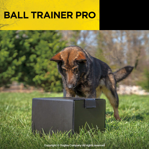 Dogtra store ball trainer