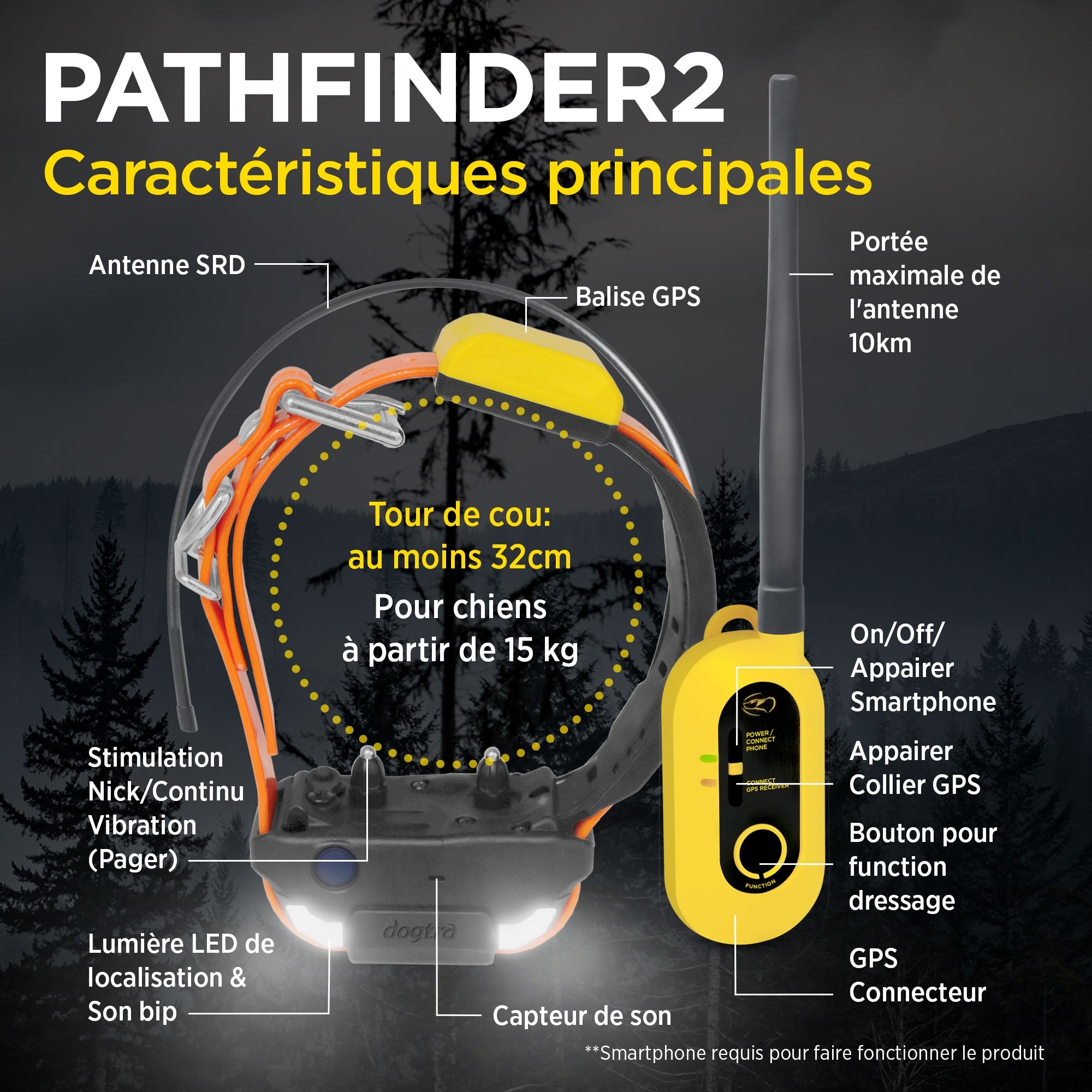 Gps store dogtra pathfinder