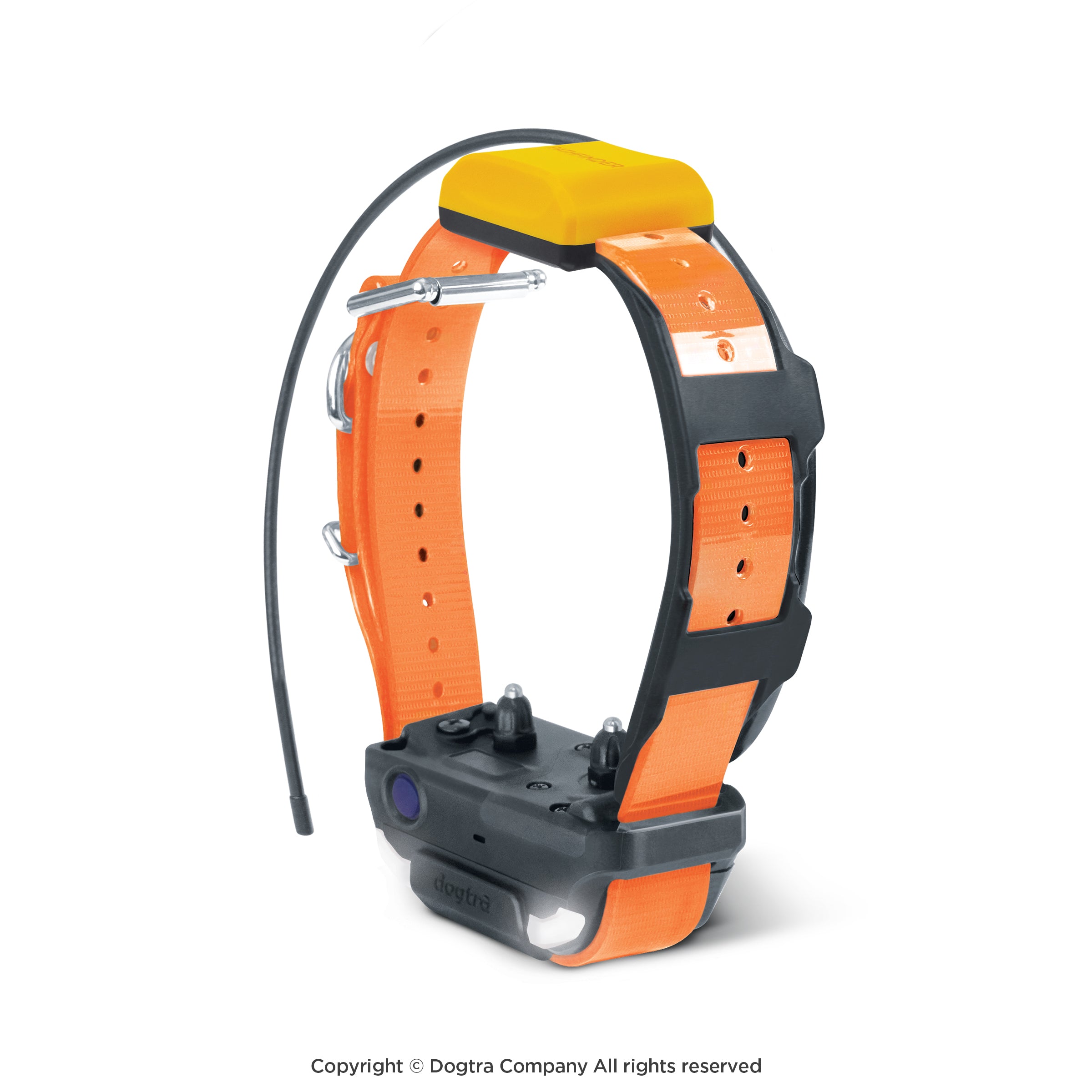 Additional GPS Collar for Dogtra Pathfinder 2