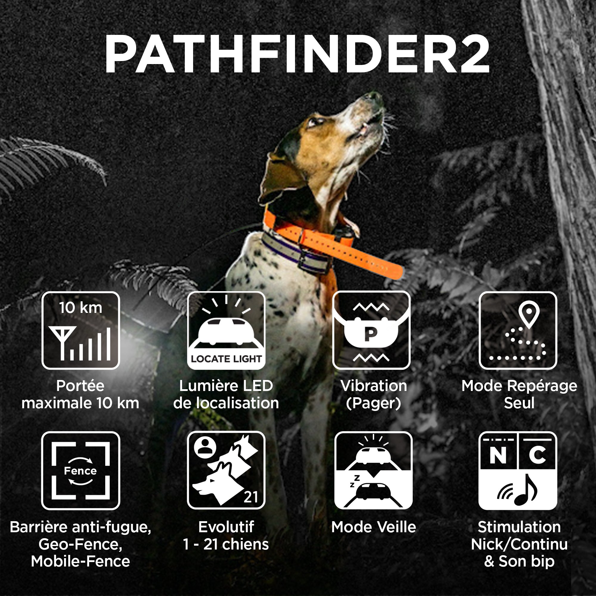 Pathfinder 2