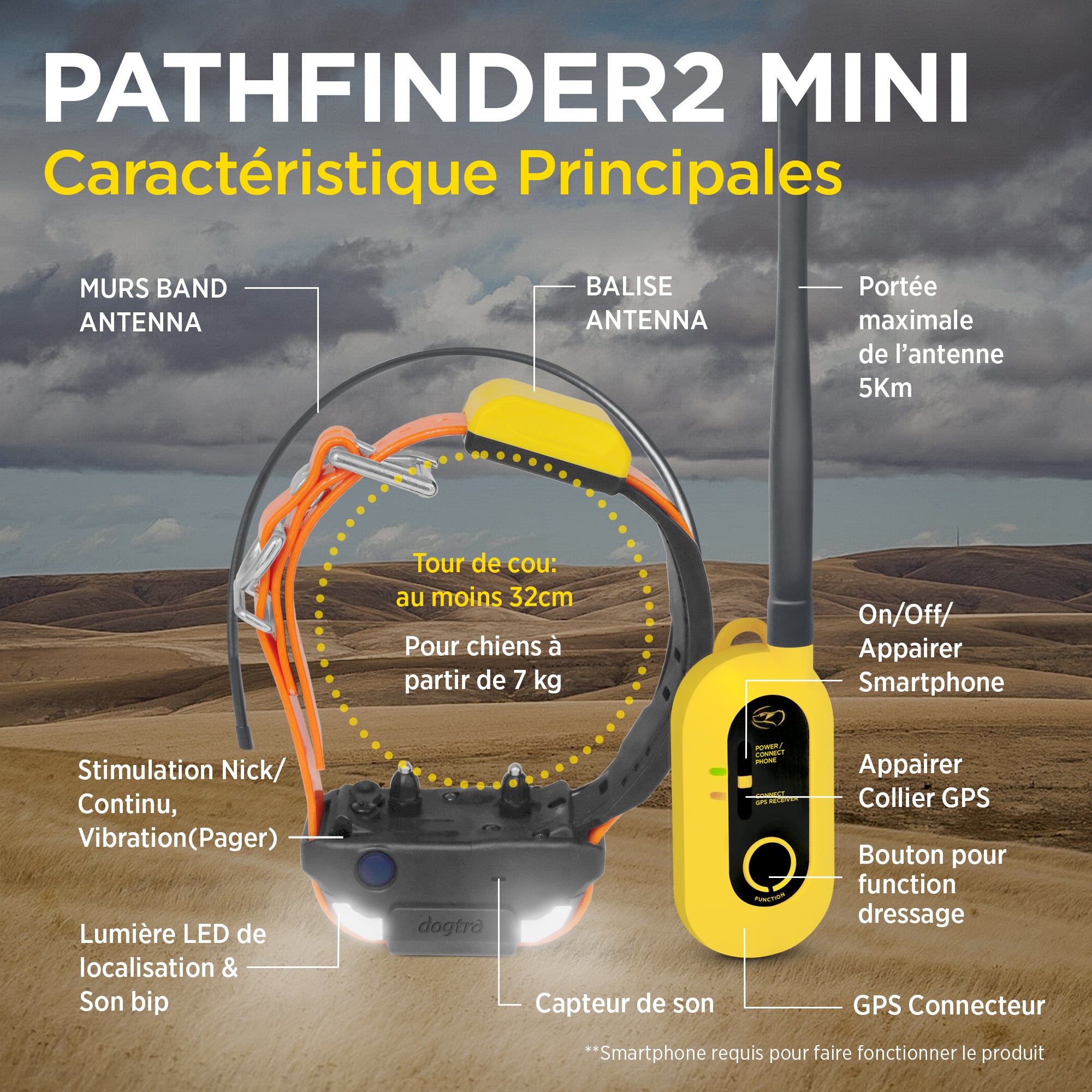 Pathfinder 2 MINI