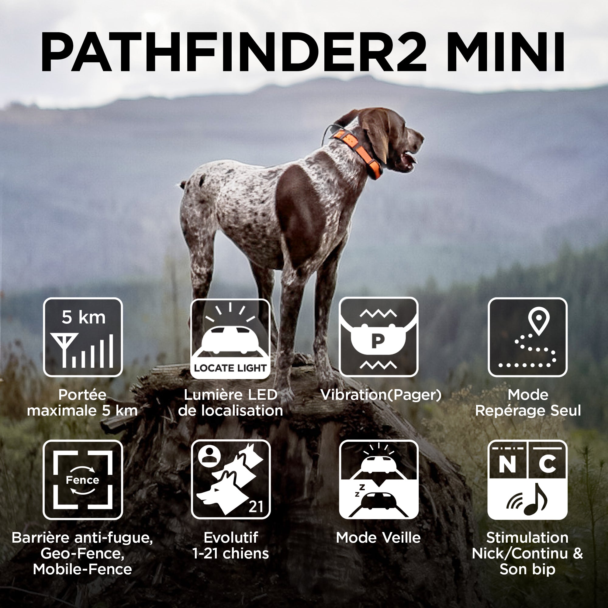 Pathfinder 2 MINI