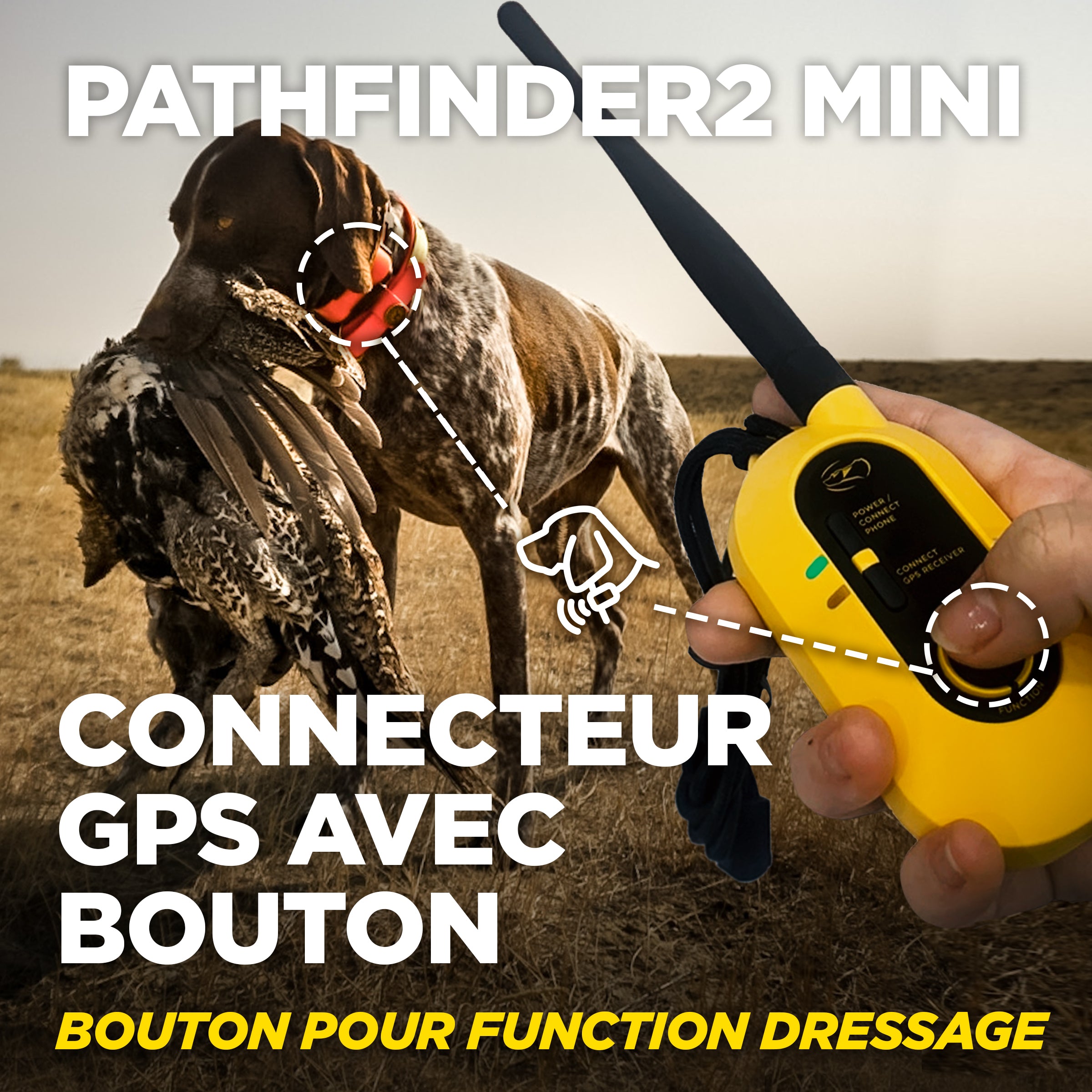 Pathfinder 2 MINI