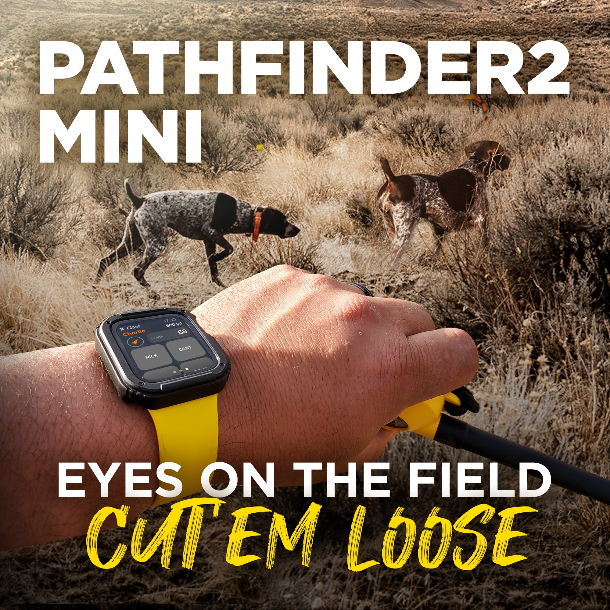 Pathfinder 2 MINI
