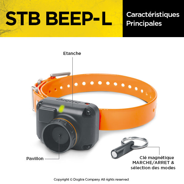 StB Beeper Collar
